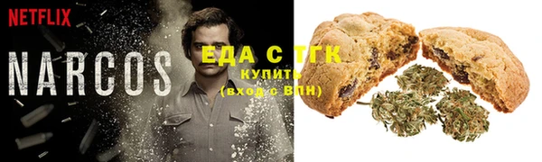 дурь Ельня