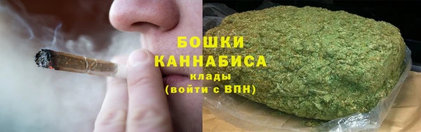 дурь Ельня