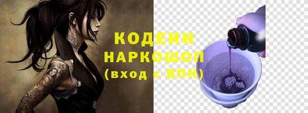дурь Ельня