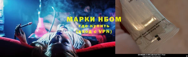 дурь Ельня