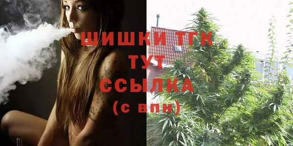 дурь Ельня