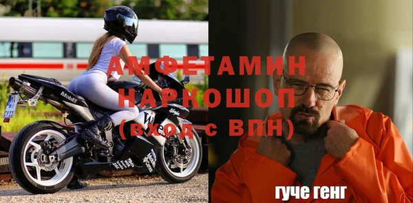 дурь Ельня
