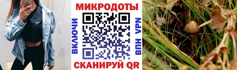 Купить где  Калтан  Галлюциногенные грибы ЛСД 