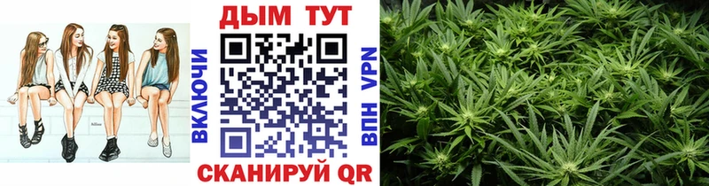 Бошки Шишки AK-47  Купить  Калтан 